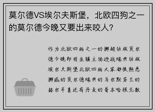 莫尔德VS埃尔夫斯堡，北欧四狗之一的莫尔德今晚又要出来咬人？