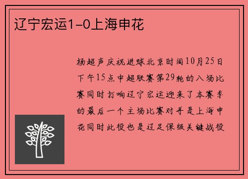 辽宁宏运1-0上海申花